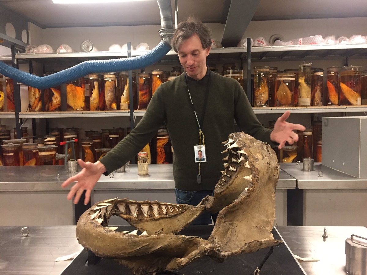James Maclaine with Great White Shark jaws, via Wildlife Photographer of the Year on Twitter