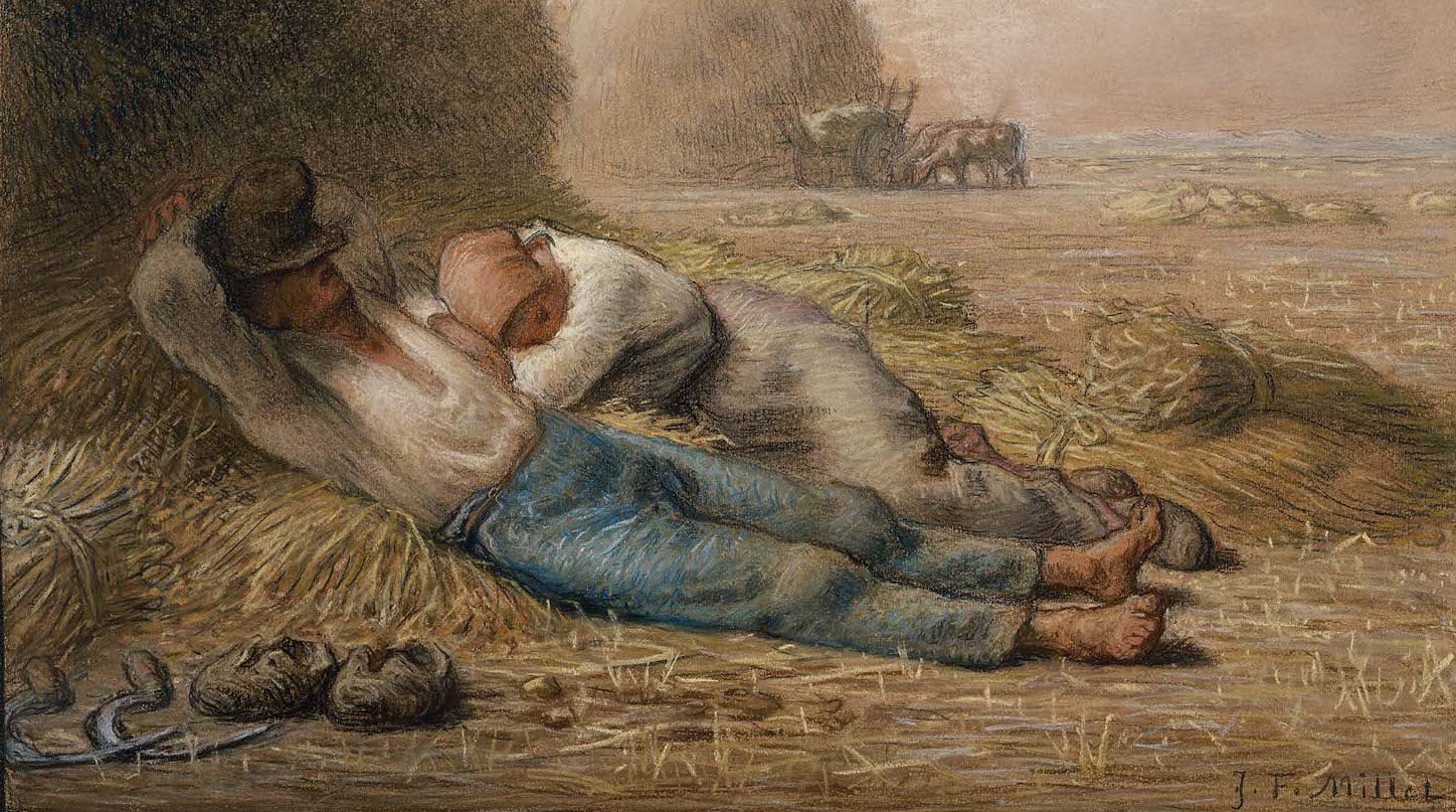 Two sleeping figures in a cornfield