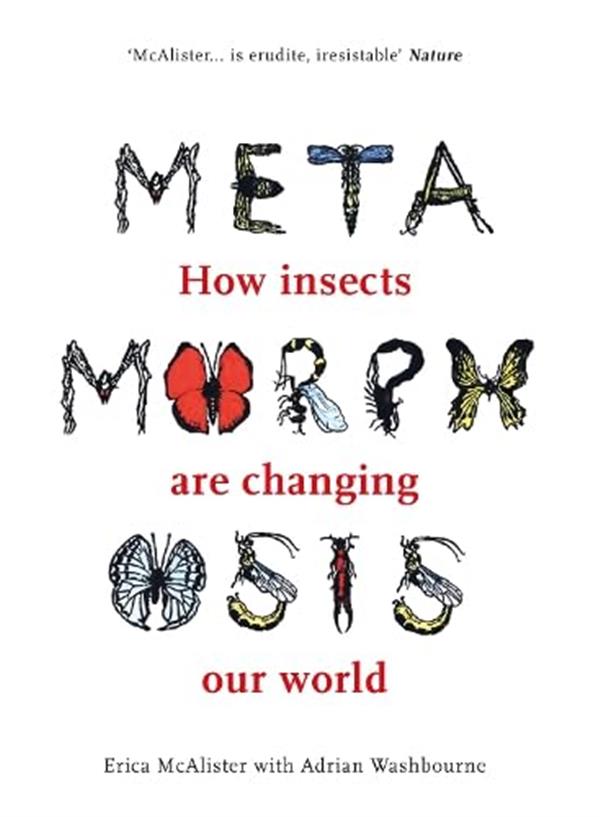 Book cover for Metamorphosis