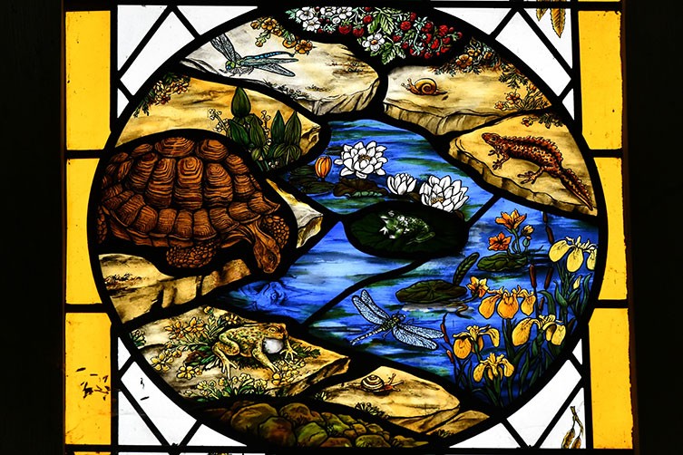 A stained glass window depicting a tortoise, frog and dragonfly