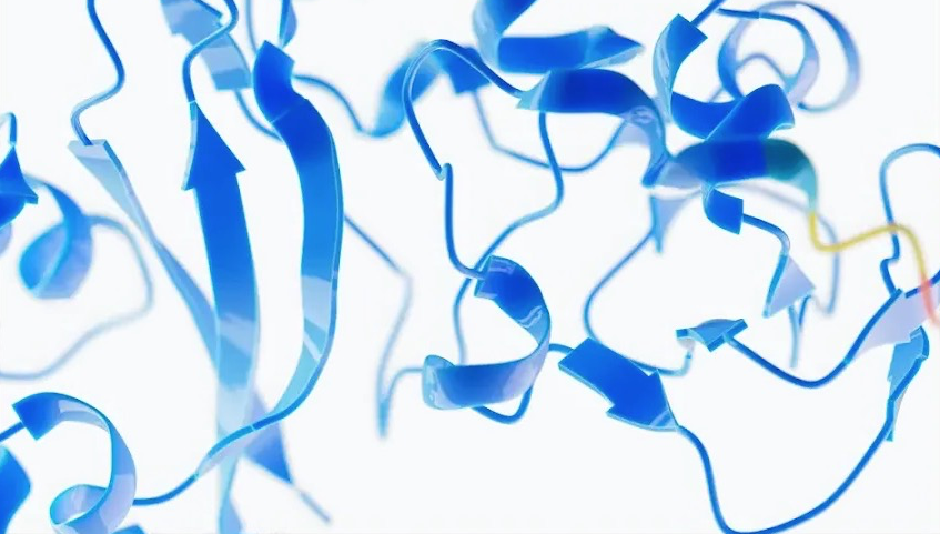 A tangle of lines and arrows showing the structure of a protein