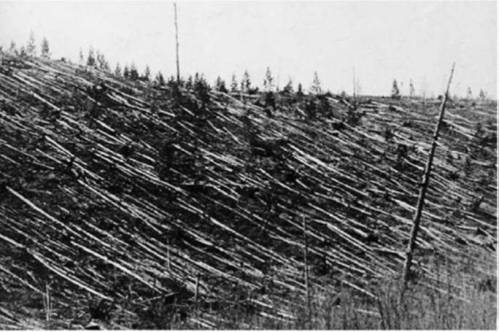Old photo of a hillside covered in flattened trees