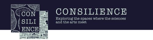 A banner for Consilience Journal