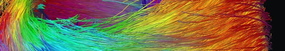 rainbow coloured swirling lines