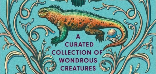 Illustration of an iguana