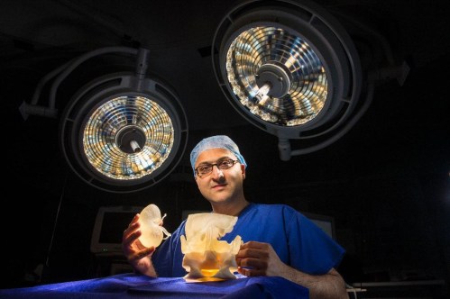 A surgeon in scrubs holding 3-d models of transplant organs