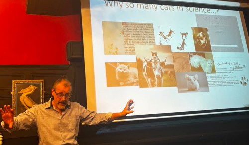 Why so many cats in science