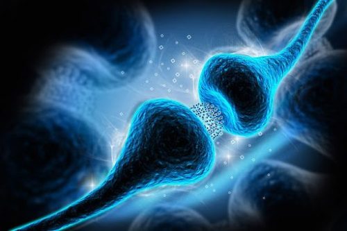 Visualisation of a synapse with serotonin crossing between brain cells. The synapse looks like two flat-faced tadpoles kissing