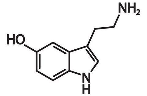 Wire diagram of the serotonin molecule