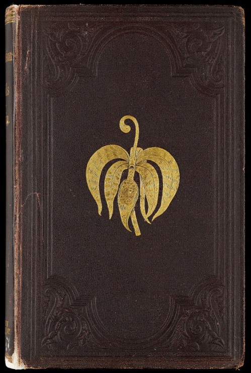 A brown book cover with embossed corners and a gold orchid in the centre